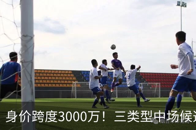 身价跨度3000万！三类型中场候选，阿森纳赌局藏夺冠伏笔?
