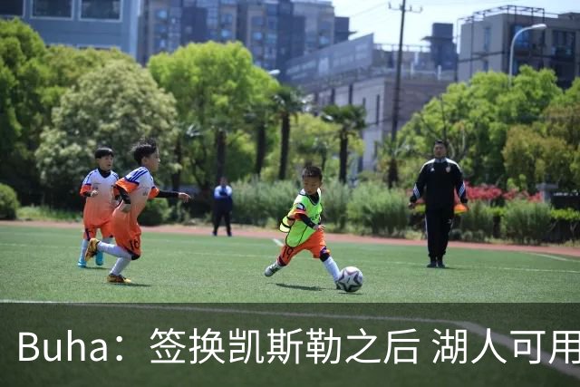 Buha：签换凯斯勒之后 湖人可用范德彪交易最高身价2150万的球员